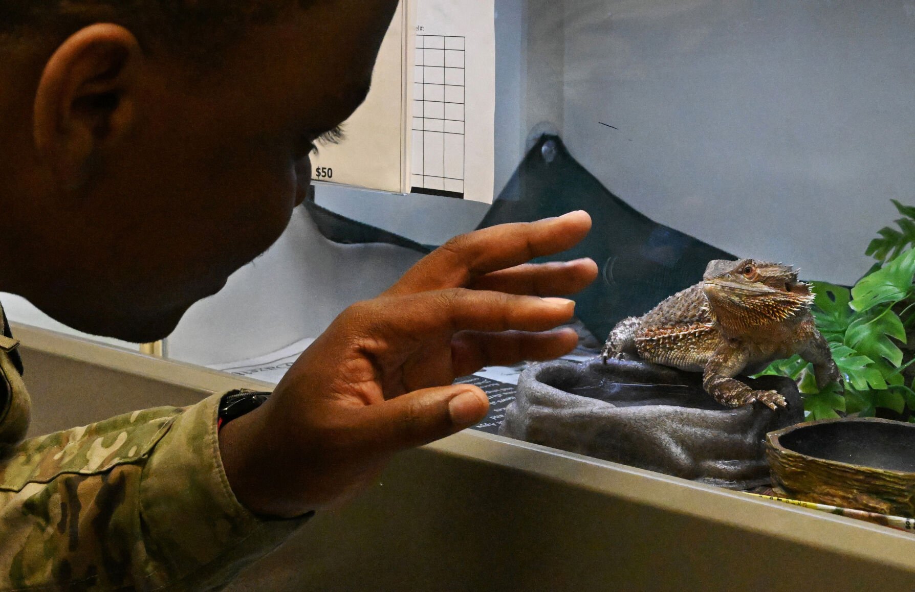 ‘They are ready to find that new family’: Meet the unexpected animals of the Pikes Peak Humane Society