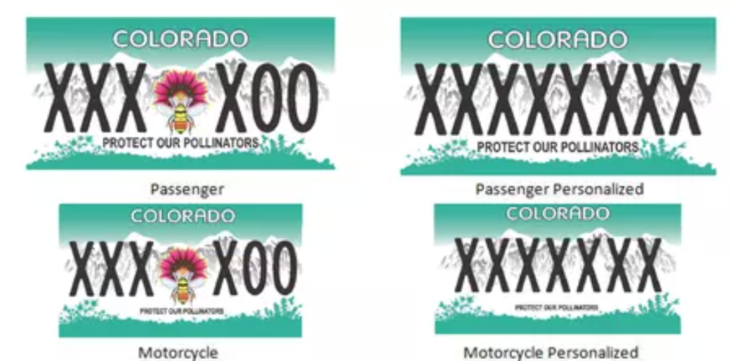 Image: Colorado DMV.