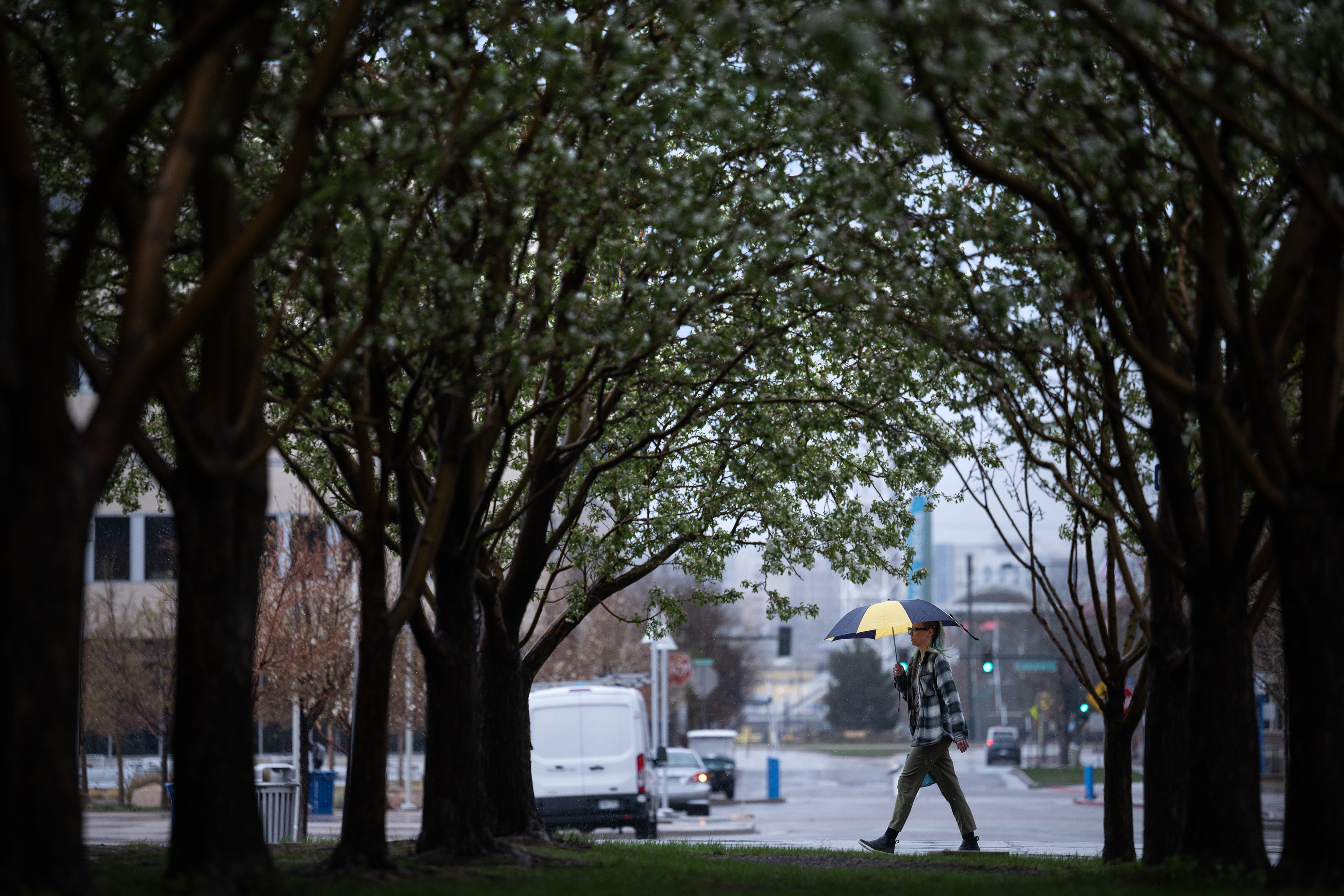 A pedestrian walks through the Auraria Campus during a rainstorm on Tuesday, April 25, 2023, in Denver, Colo. (Timothy Hurst/Denver Gazette) (TimHursttim.hurst@gazette.comhttps://secure.gravatar.com/avatar/aca82bd62b4ee425c598527cd6faa1b1?d=mm&r=g)