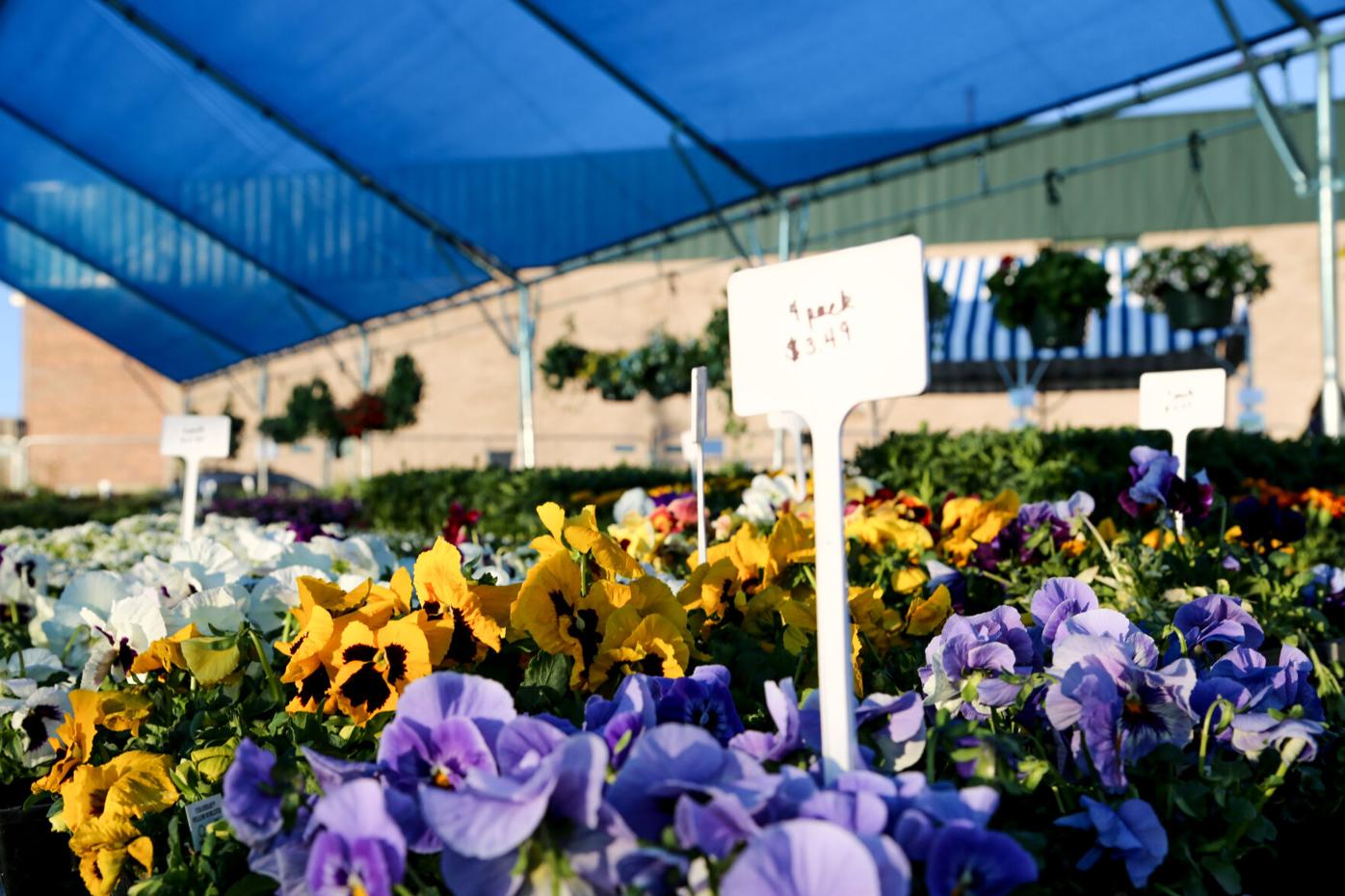Metro Moves: Plum Creek Garden Markets open