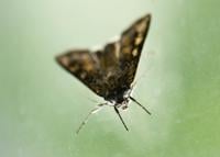 Deciphering life post-college | Slice of Life