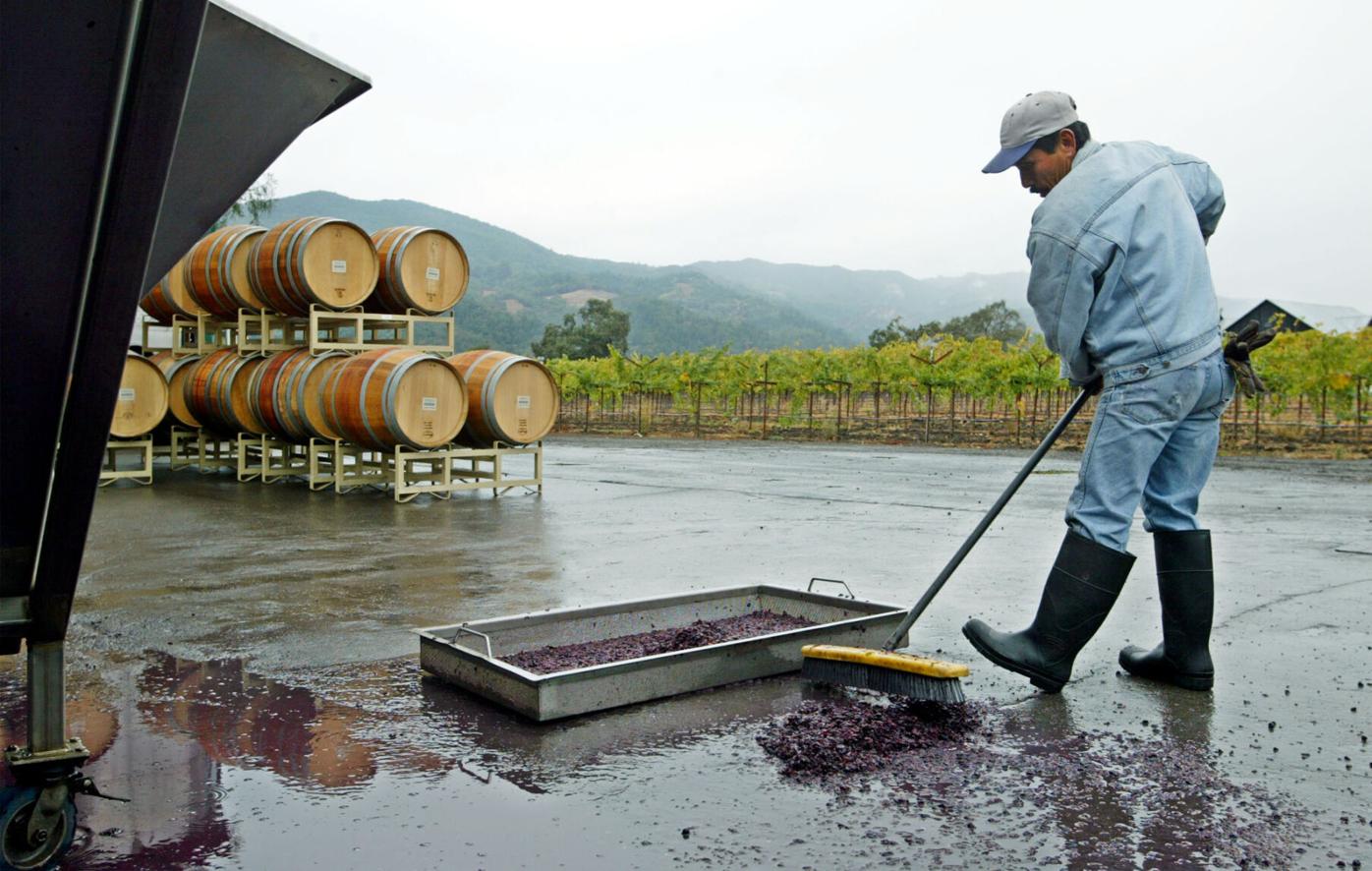Wine Guy: Wineries commit to positive impact on environment, community and workers