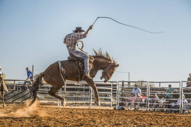 Rodeo