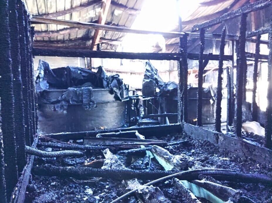 Colorado Gator Farm fire claims lives of rescue animals
