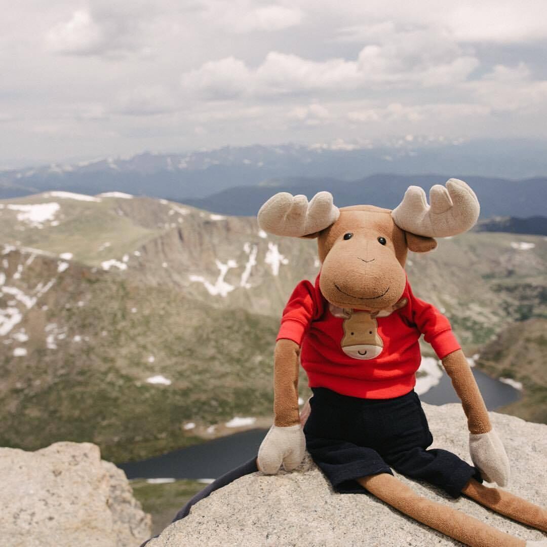 Muffin the Moose: Meet the moose who loves doughnuts, traveling and Colorado
