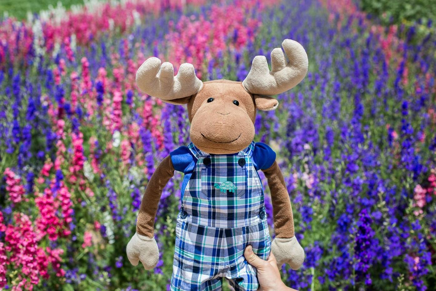 muffin the moose.jpg