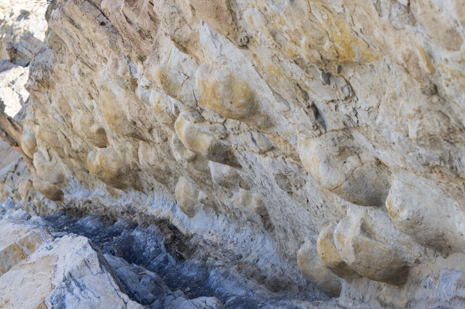 Tracks from the Ankylosauruses dinosaur marching through a muddy marshland during the Cretaceous Period can be seen in the rocks along Skyline Drive Tuesday, May 16, 2023. The tracks weren’t discovered until 1999. (The Gazette, Christian Murdock) (Christian Murdock/The Gazette)