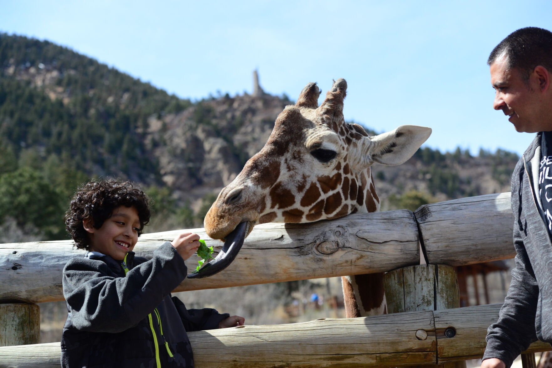 Colorado Springs ripe for bustling summer tourism season