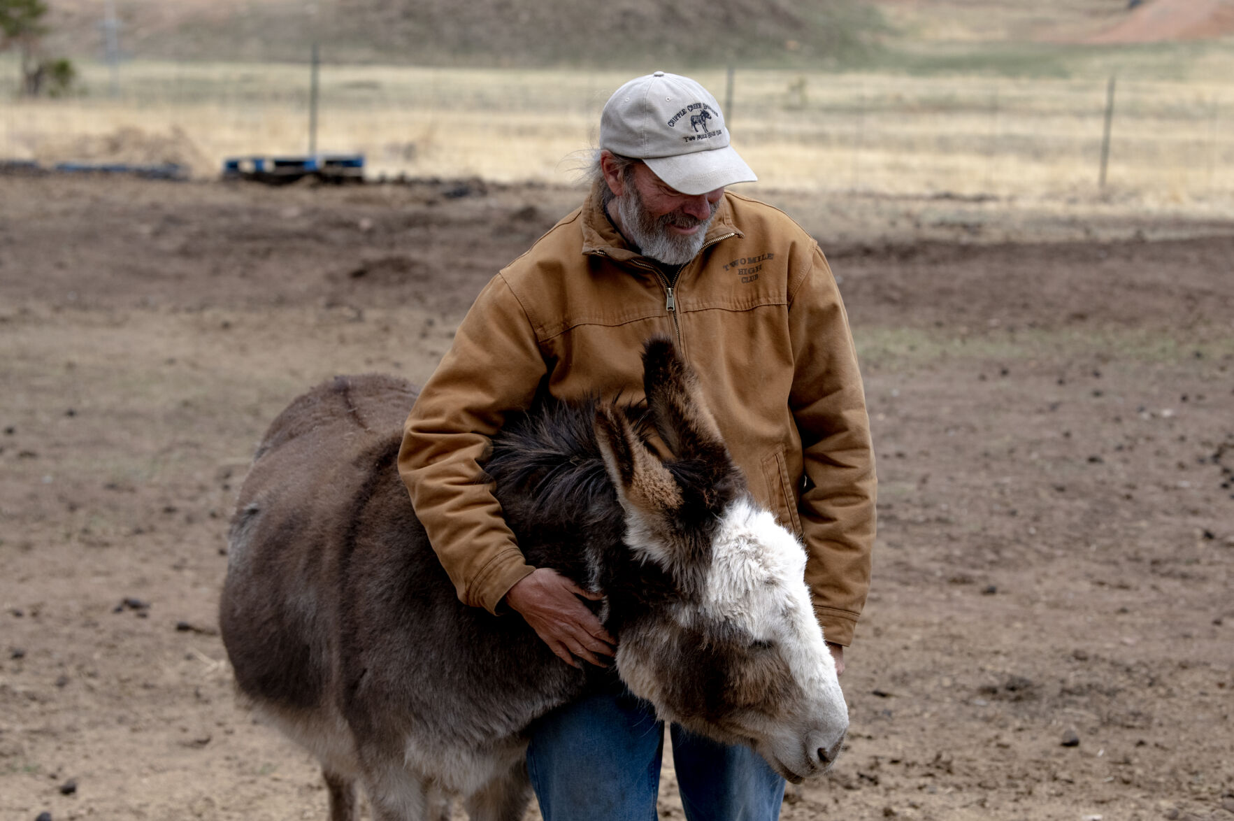 Two Mile High Club member Dale McKenzie shares some love this month with Hershey, a member of Cripple Creek’s famous donkey herd, in their winter pasture. (Parker Seibold)
