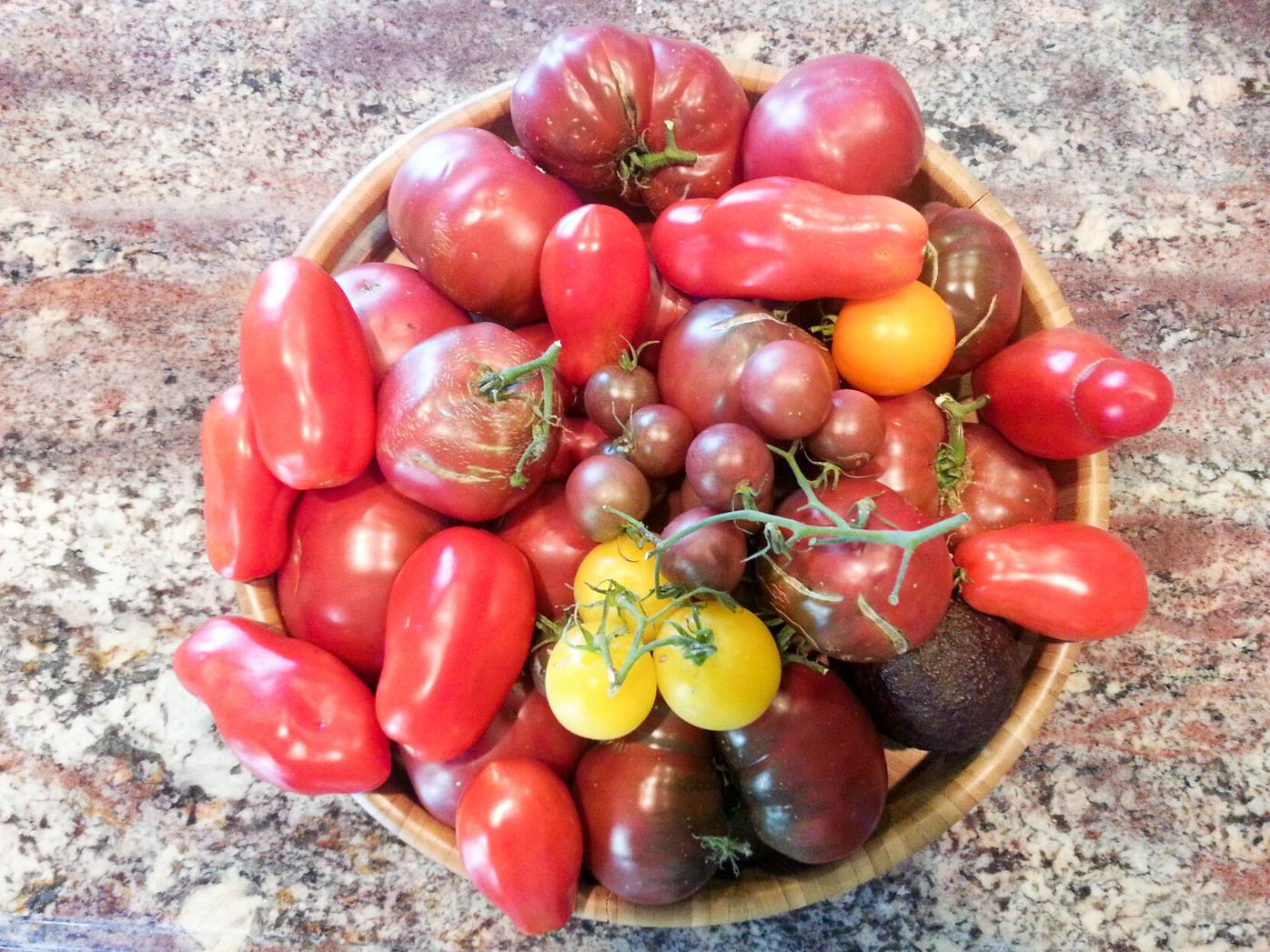 20170828_104454.jpg