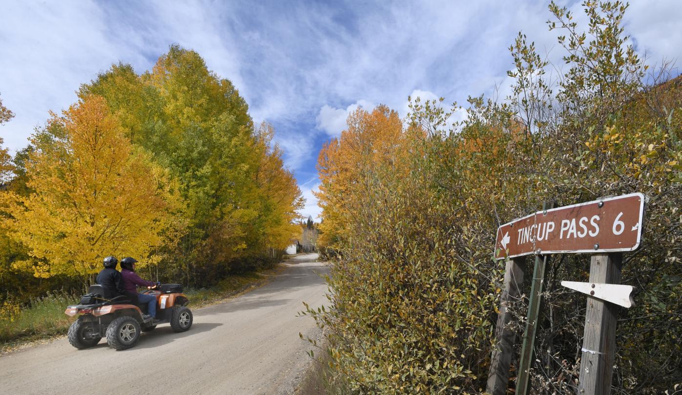 fall colors