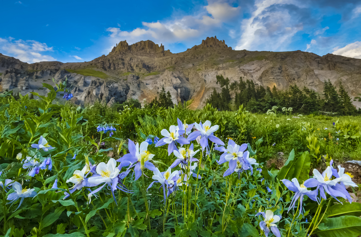 This ‘innocent’ act in nature could mean a hefty fine in Colorado