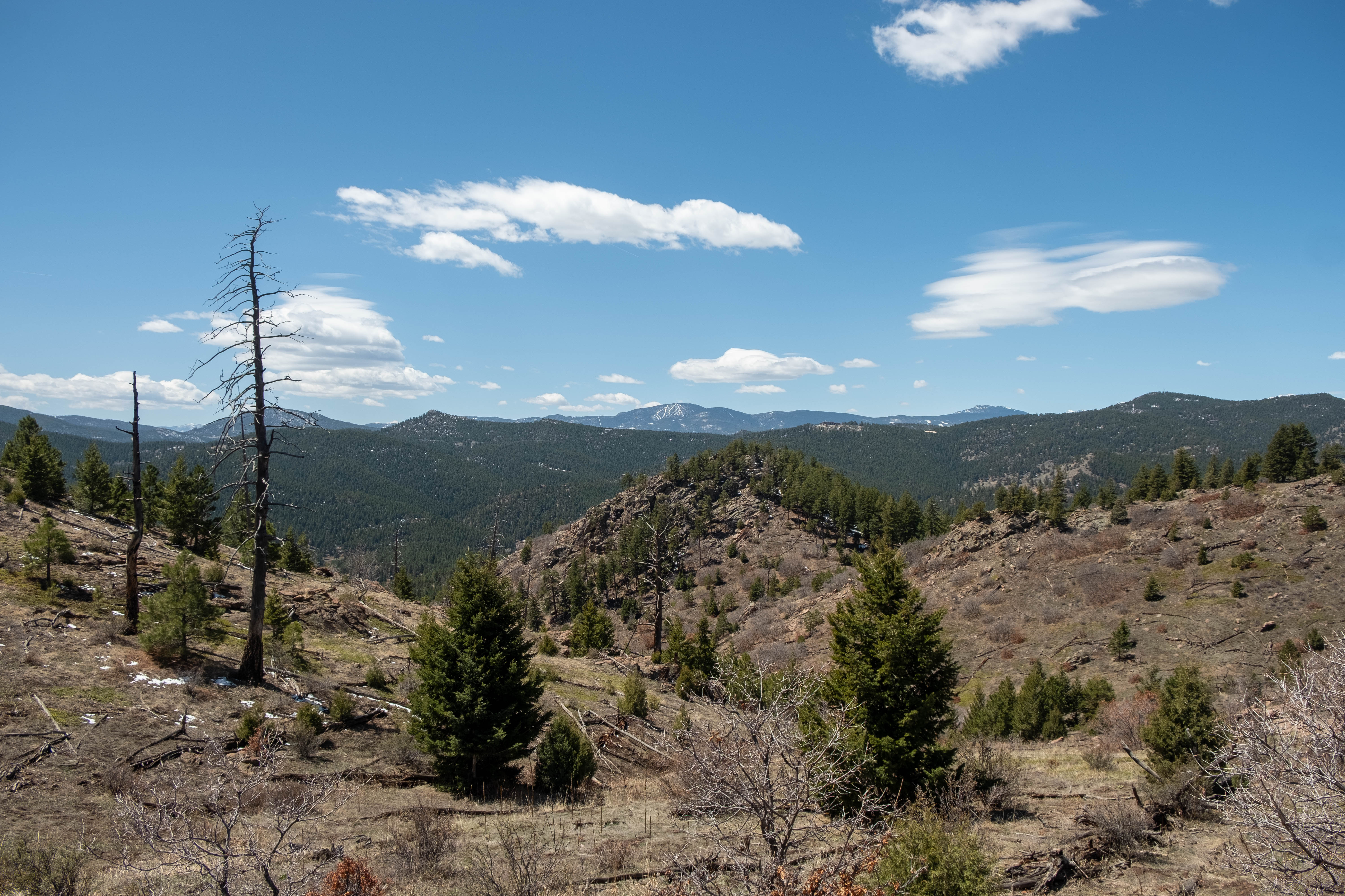 Trail Trax: Welcome to hiking and biking season, Waterton Canyon closure