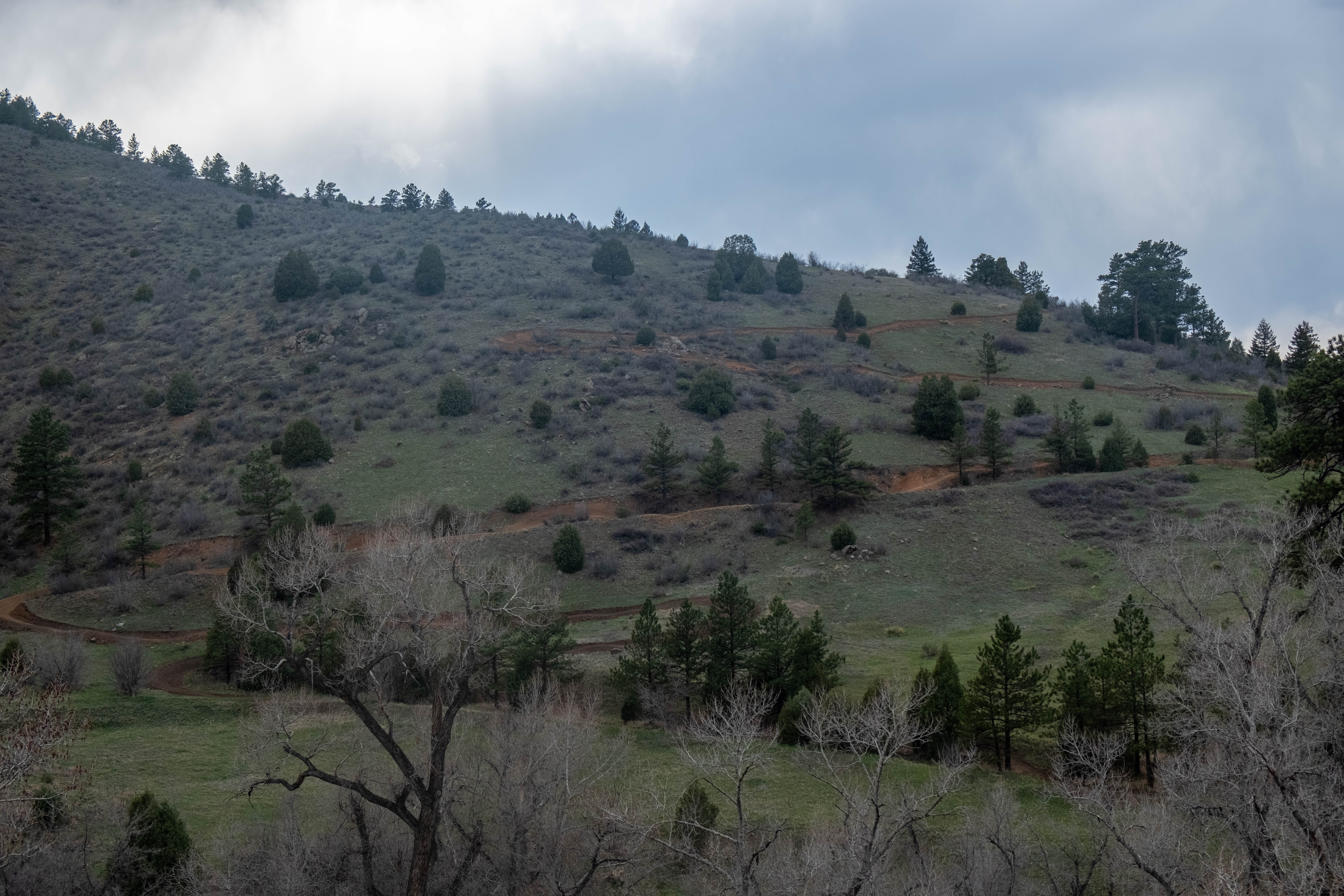 As seen from State Highway 74, Rutabaga Ride, a new directional downhill-only mountain bike trail in the Lair o' the Bear Park trail system west of Morrison, Colorado, winds down hill toward Bear Creek. The trail will debut Thursday, May 25, 2023. (Jonathan Ingraham, Denver Gazette)