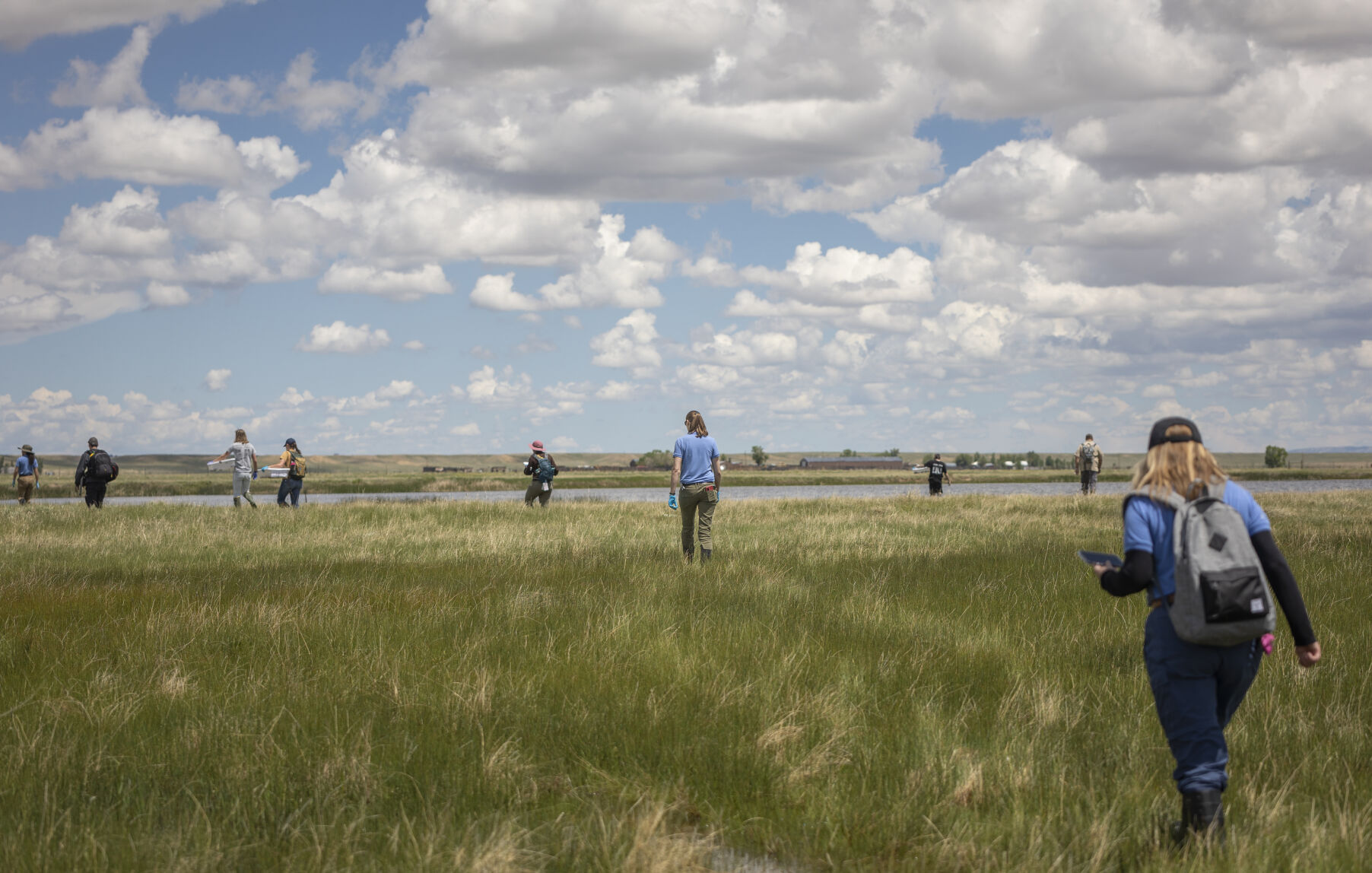 A team from Cheyenne Mountain Zoo brings out this year’s batch of Wyoming toads and releases them into the wild at Mortenson Lake near Laramie, Wy., last week. Leaving from Colorado Springs at first light in the morning, the normally three-and-a-half-hour drive to the drop-off point was disrupted by a road blockage along the usual road. Nevertheless, after some detours the team made it to Mortenson Lake and were delivering toads to their new homes by noon. (courtesy photos)