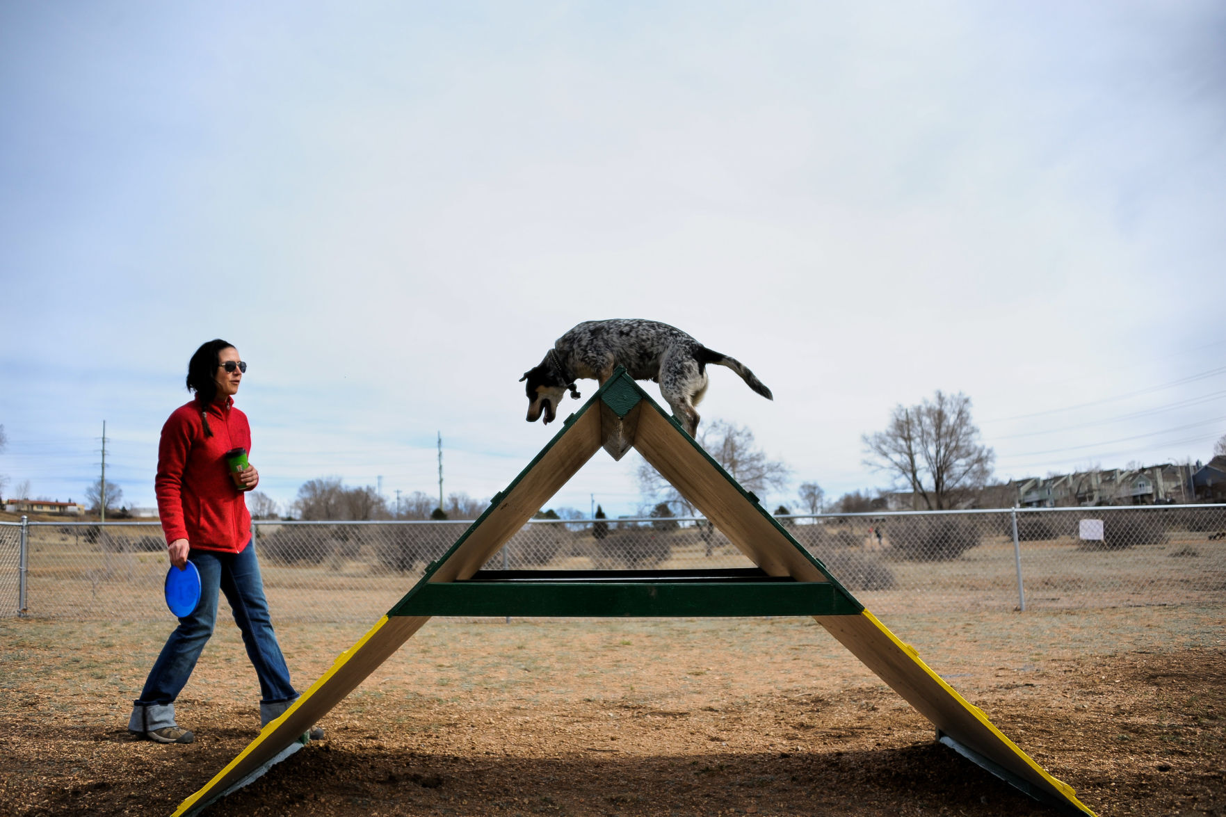Bear Creek Dog Park in west Colorado Springs is one of the Pikes Peak region’s favorites. Photo Credit: Mason Trinca. (Mason Trinca)