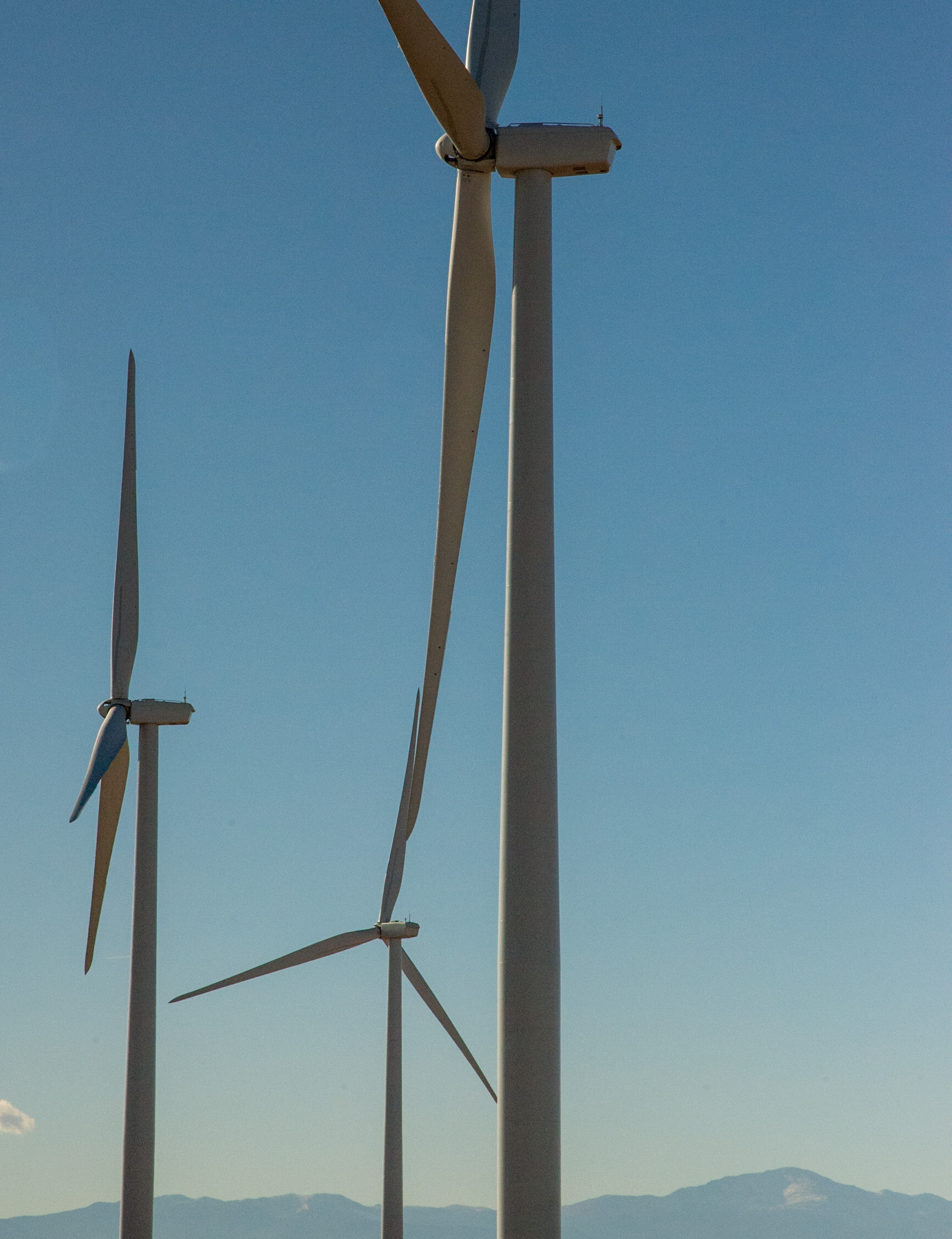 Calhan Windmill Field (ScottWeiserEnterprise Reporterscott.weiser@gazette.comhttps://secure.gravatar.com/avatar/bedf4ba0a073402c3991ce97ce2869c4?d=mm&r=g)