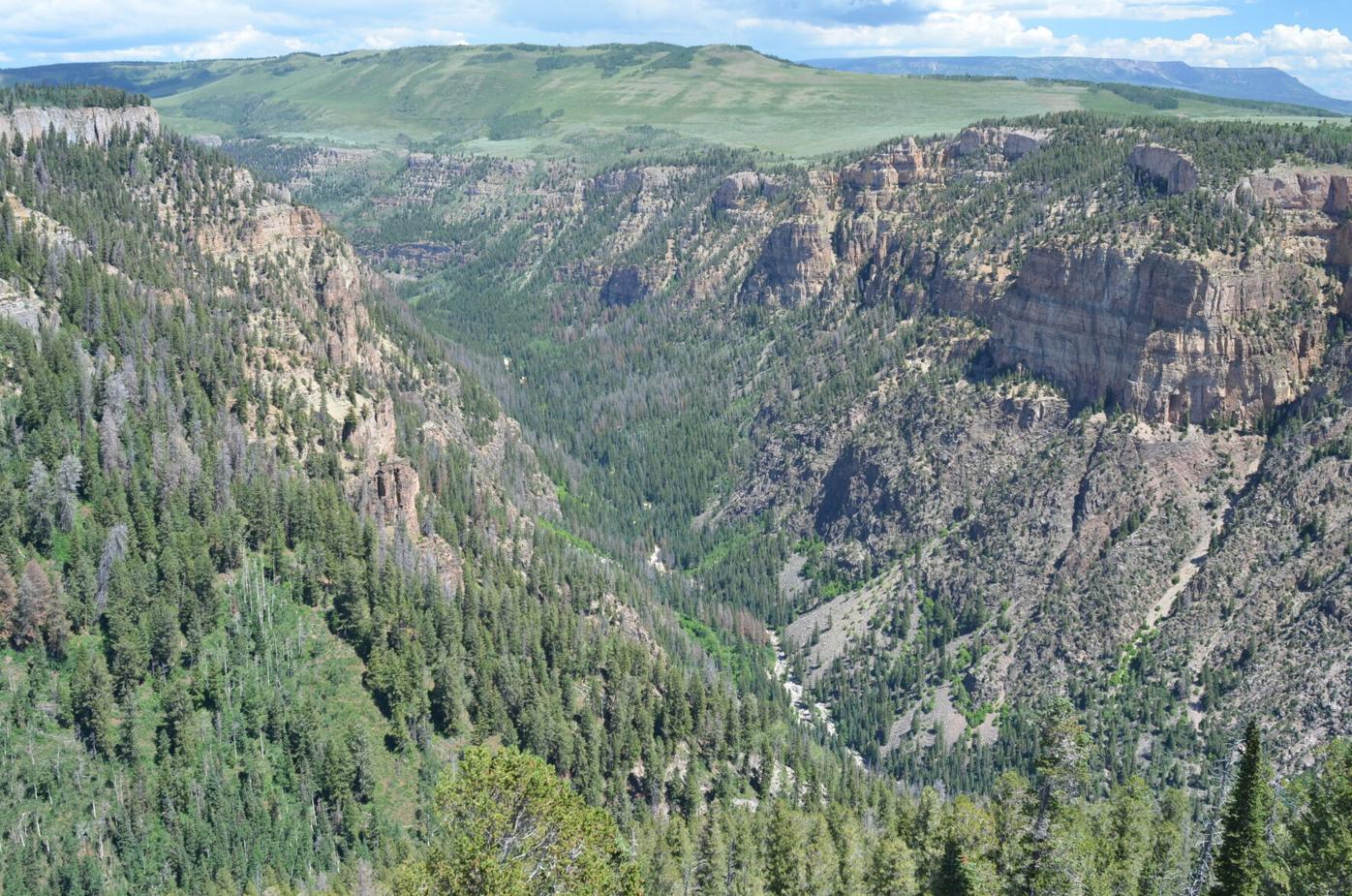 Deep Creek Canyon summer.JPG