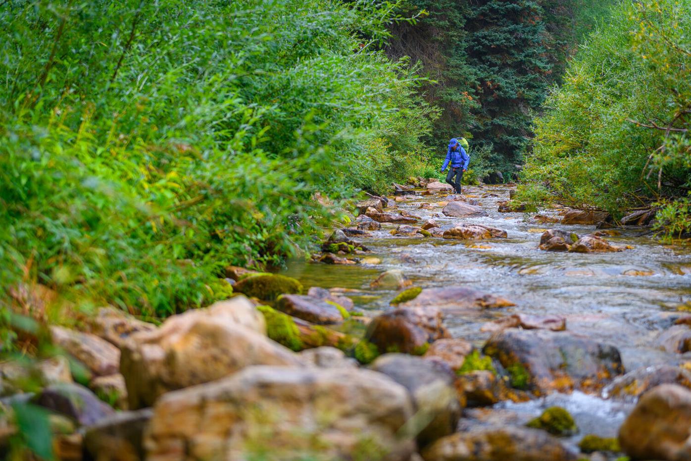 Schnitzer_Deep Creek_0818-92.jpg