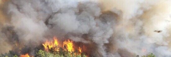 Wildfire smoke: Canada blamed for forestry underfunding and mismanagement