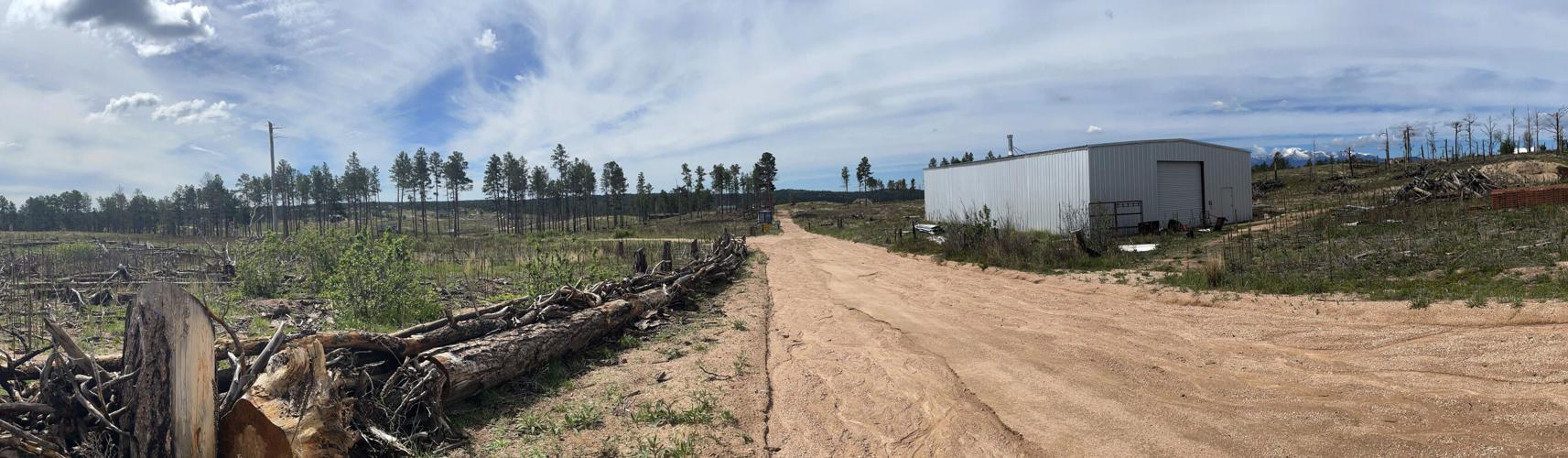 061123-news-blackforestmain 6.jpg