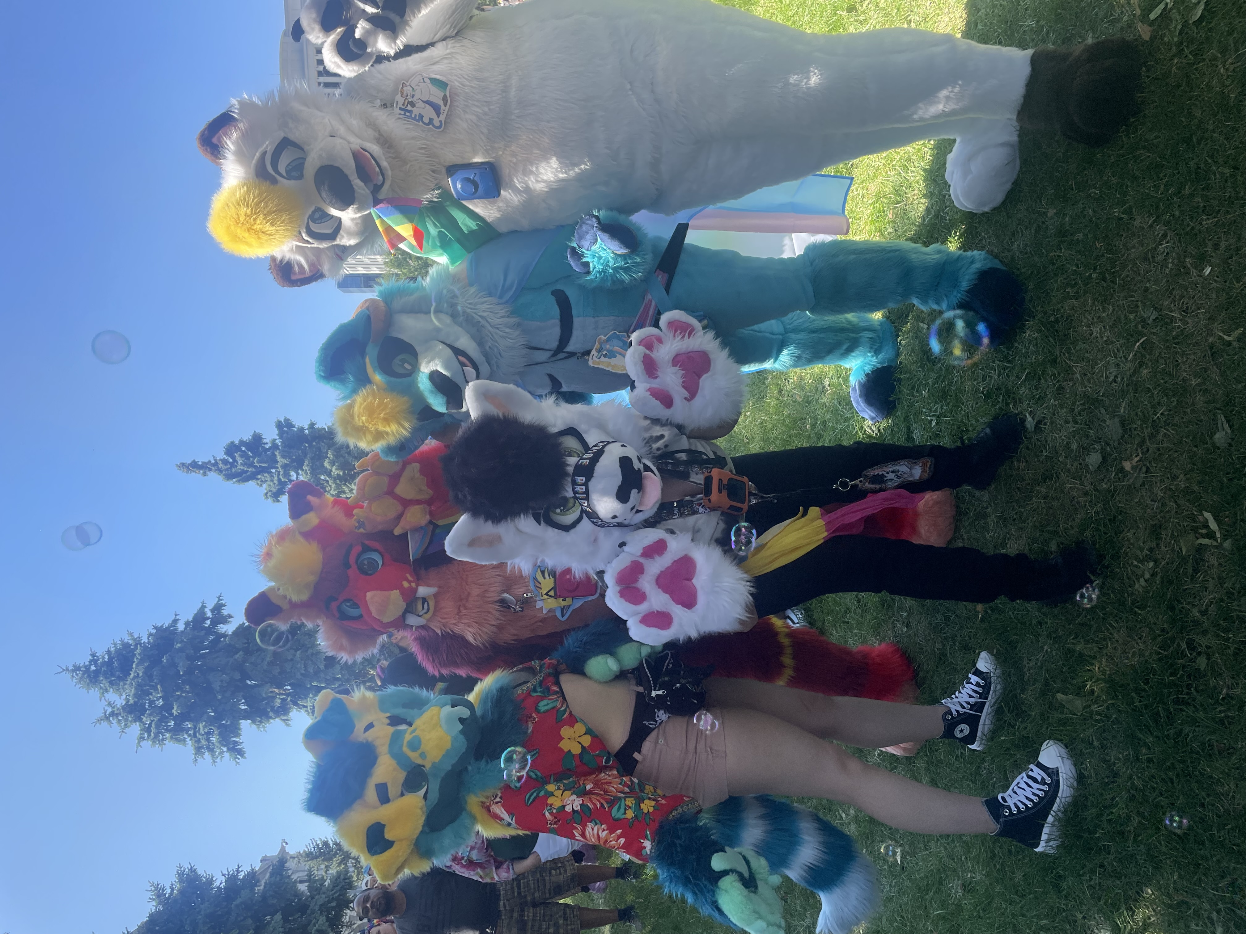 A group of friends came to Denver's PrideFest parade on Sunday, June 25, 2023 in their furry character costumes. The group said they create their characters based on colors and animals they like, and make personas based on who they are as people. The friends identified themselves by their character names, from left to right: Echo, Raver, Marley, Rainy and Hecc. (Julia Cardi/The Denver Gazette.)