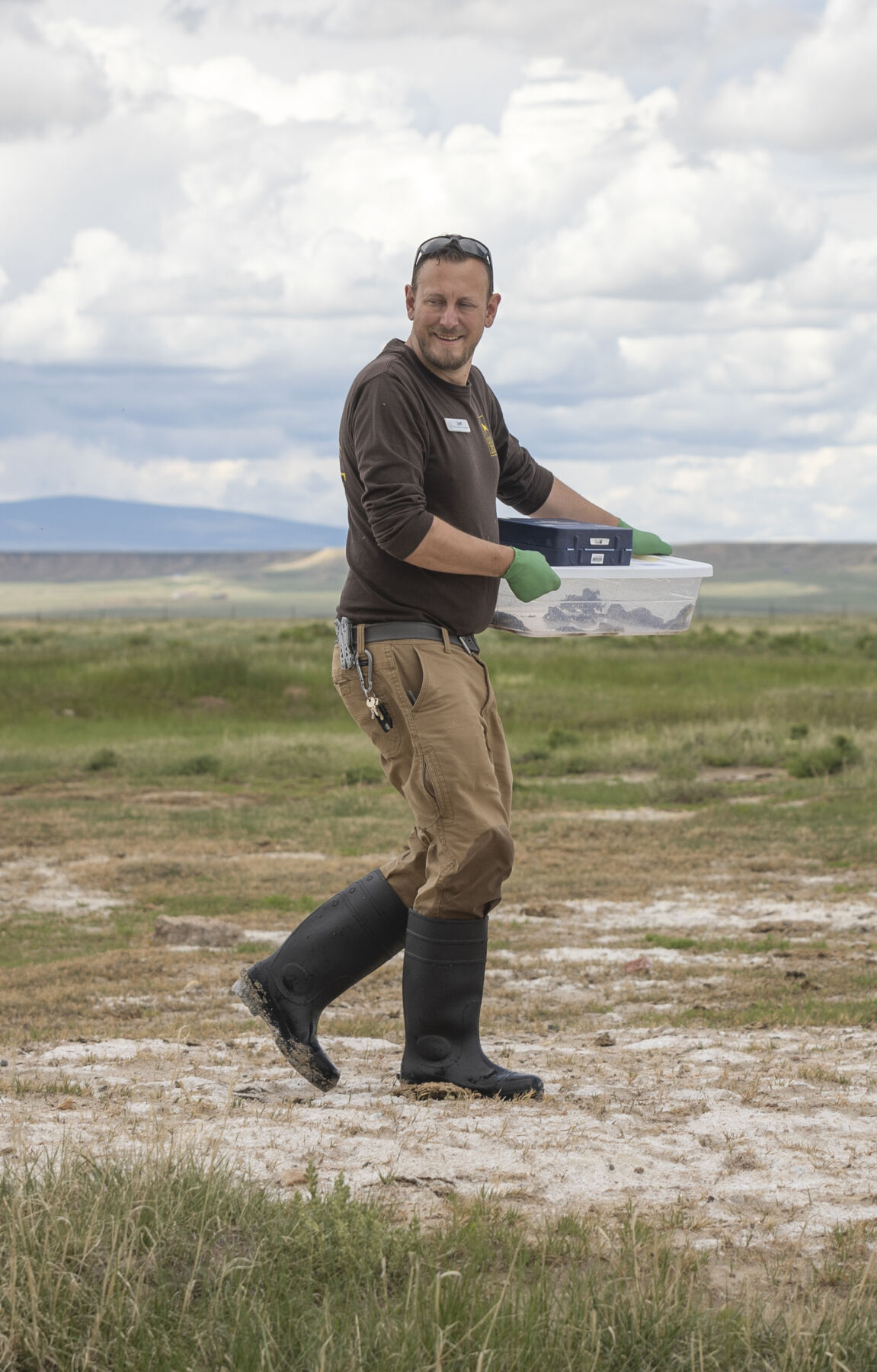 Cheyenne Mountain Zoo field conservation coordinator Jeff Baughman brings out a bin full of Wyoming toads to release them into the wild at Mortenson Lake near Laramie, Wy., last Wednesday. (courtesy photos)