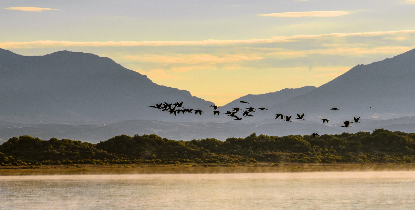 File photo. Photo Credit: CampPhoto (iStock). (CampPhoto)