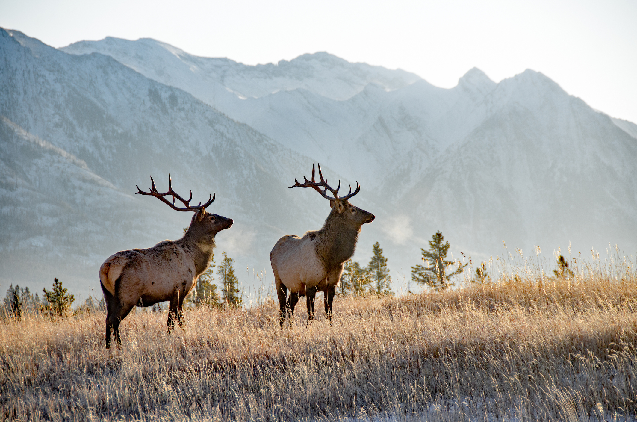 Photo Credit: wwing. File photo. (iStock) (wwing)