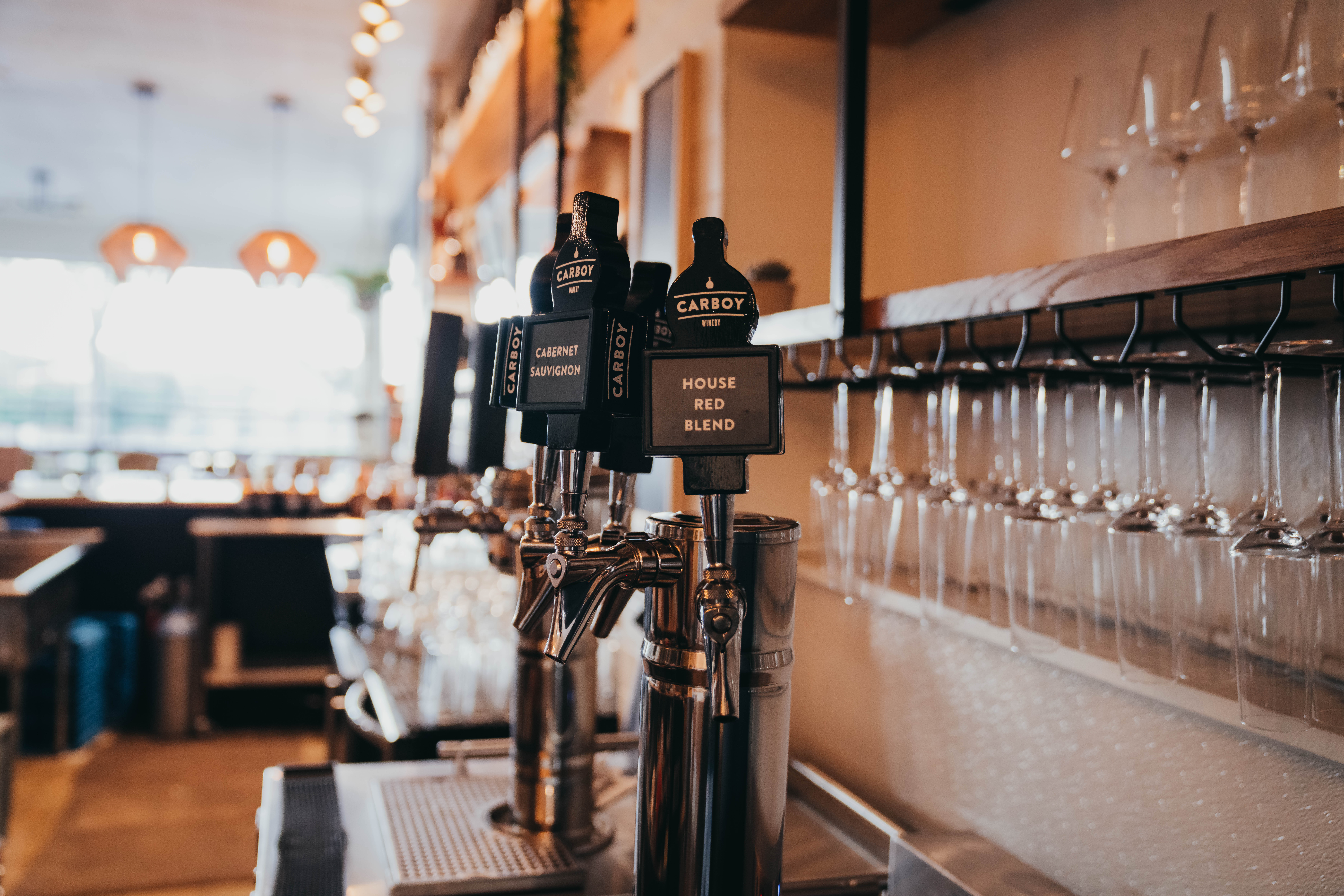 Wolf + Wildflower has several wines from Carboy Winery on taps. (Courtesy Tamara McTavish Photography)