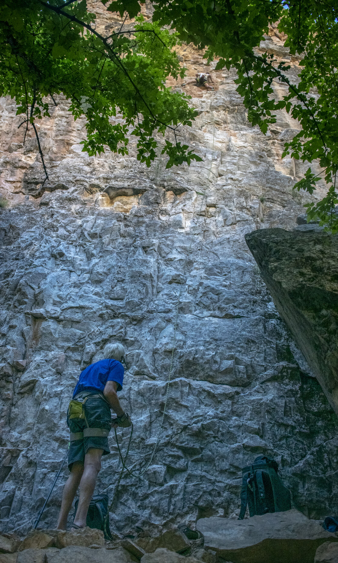 Lee Sheftel lead belays his climbing partner at the crux of a sport lead climbing route in Rifle Mountain Park. (Gabi Broekema, the gazette)