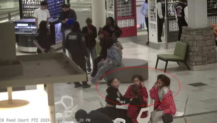 Phoenix Day shooting - unidentified group members