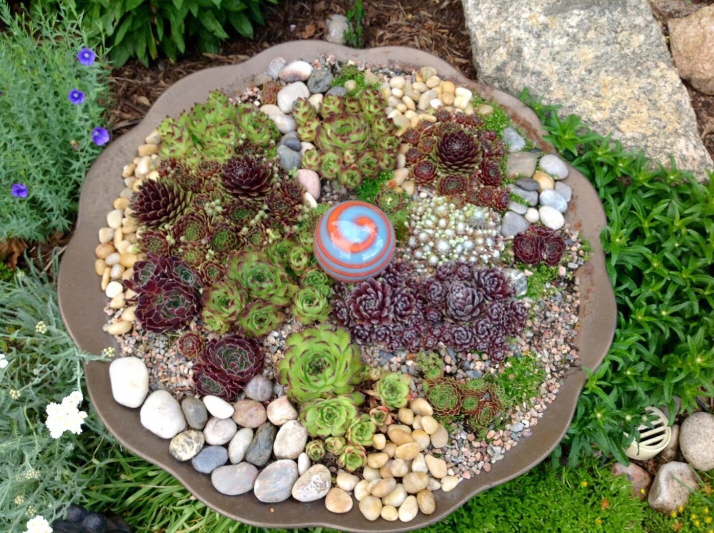 Year-round gardening: Gardening for busy people