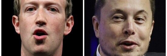 Zuck is a cuck': Elon Musk fuels cage match between him and Mark