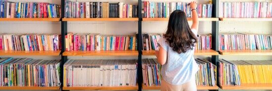 American Library Association says it is ‘committed’ to every state after Montana cuts ties