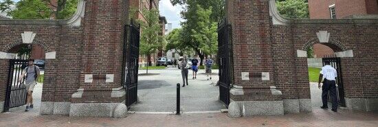 Ivy League students increasingly identify as LGBT, far outpacing national average