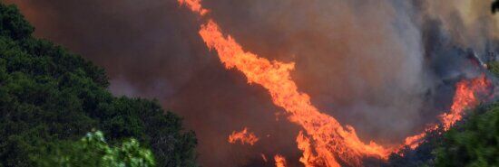 Canadian wildfire emissions more than double all other sectors combined
