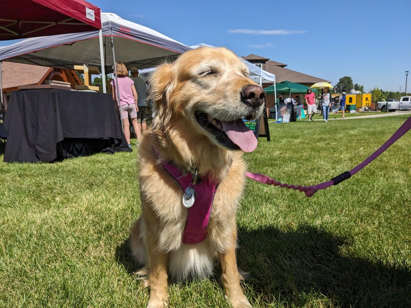 Ruby at fairmount event