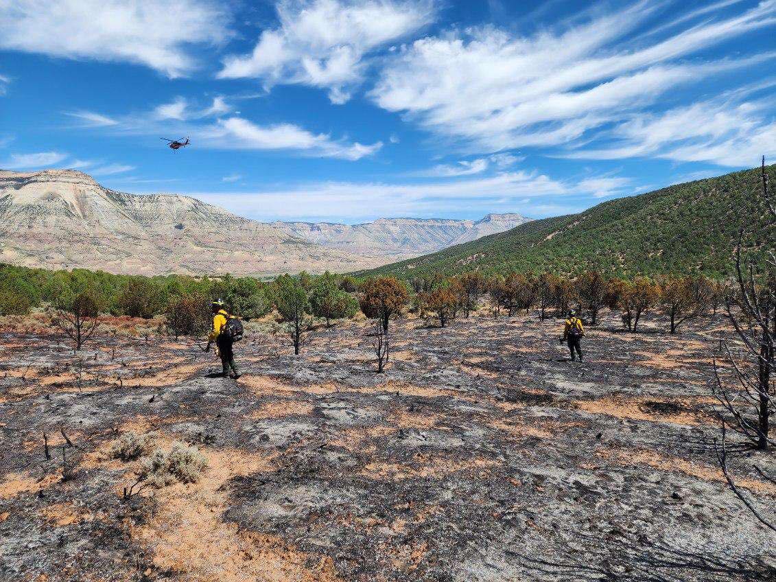 Wildland firefighters from Thunder Mountain Fire and Mitigation out of Olathe, Colorado work to get a handle on the week-old Spring Creek Fire near Parachute, Colorado on the Western Slope. (Jeremiah Miller)
