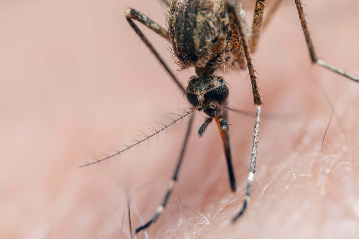 “Unprecedented” risk of West Nile virus present in Colorado