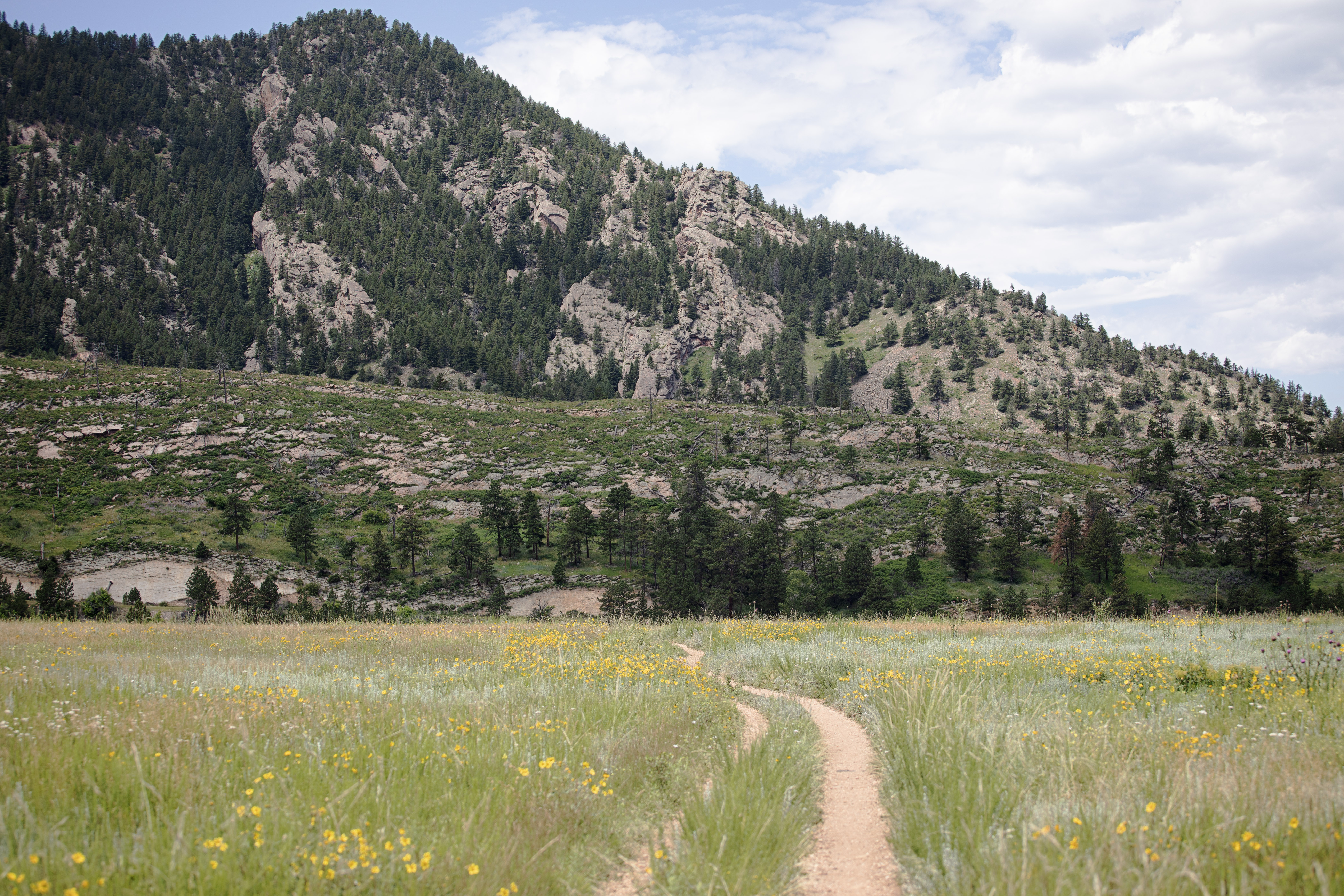 Trail Trax: Springbrook loop in Boulder County is a must hike or ride