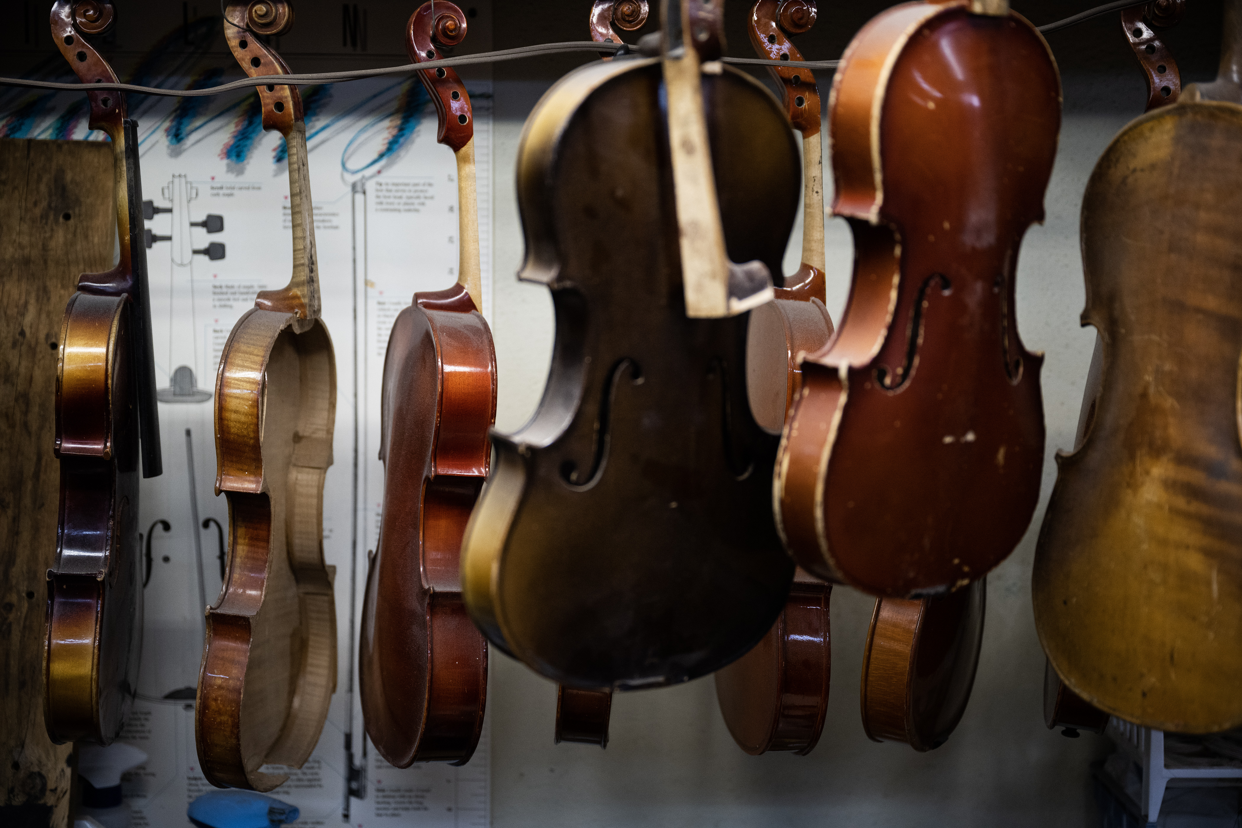 Instruments hang in various states of repair in the string repair shop on Monday, July 17, 2023, at Kolacny Music Co. in Denver, Colo. (Timothy Hurst/Denver Gazette) (TimHursttim.hurst@gazette.comhttps://secure.gravatar.com/avatar/aca82bd62b4ee425c598527cd6faa1b1?d=mm&r=g)