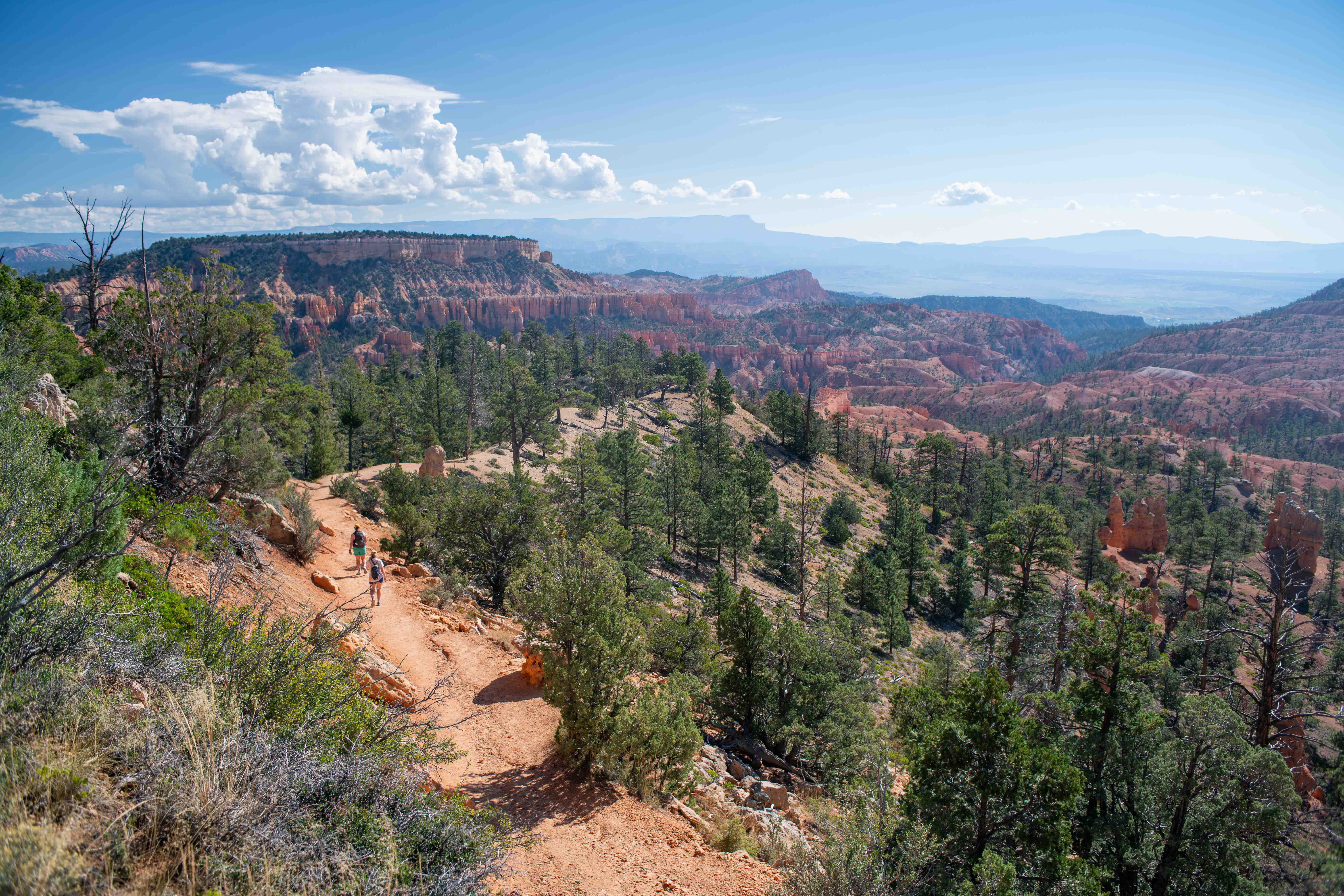 Hikers on Fairyland Loop in Bryce Canyon National Park. Photo: National Park Service.