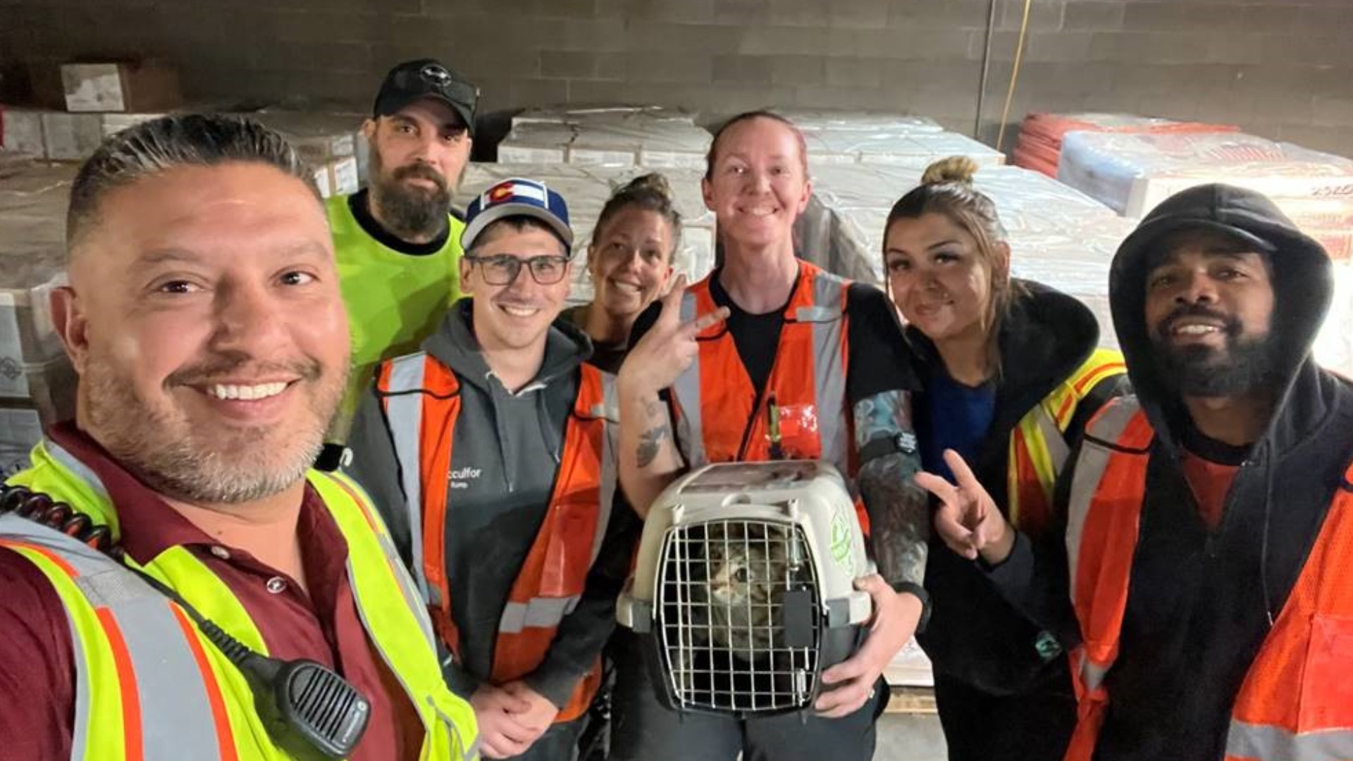 Southwest Airlines staff with Breezy the Bengal show cat. (Provided by Southwest Airlines)