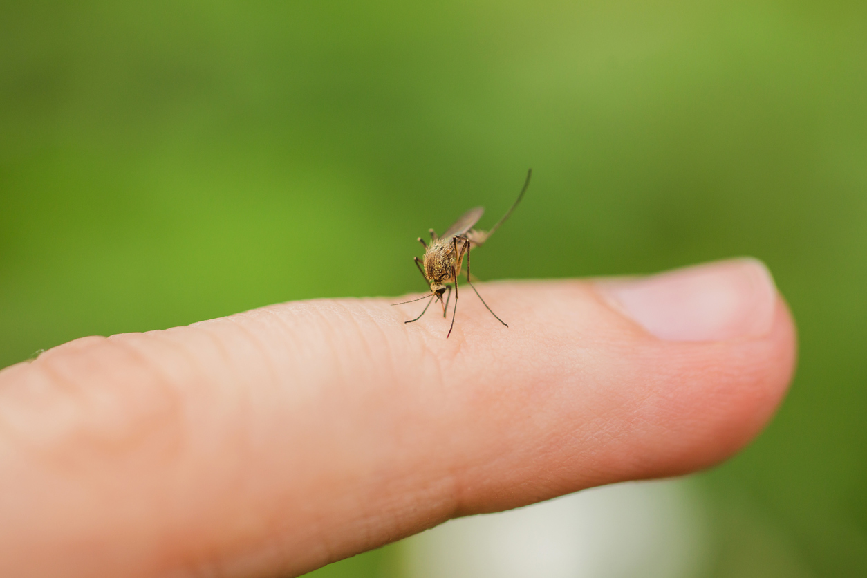 Photo Credit: iiievgeniy (iStock). (iiievgeniy)