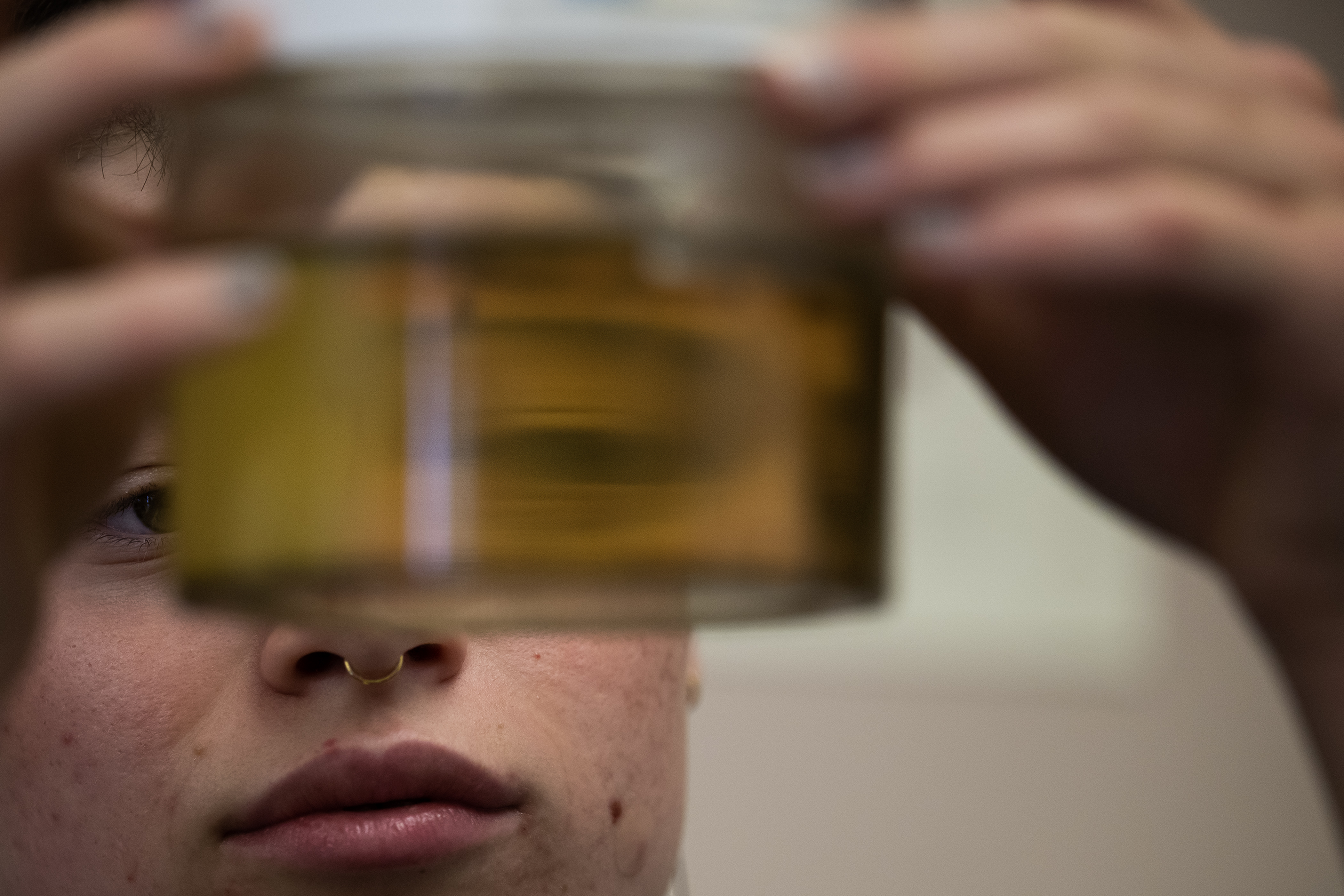 Surveillance technician Sydney Schmelzer looks for mosquito larva in a rearing chamber that may be used as the start of a colony for research at Metropolitan State University of Denver on Thursday, Aug. 10, 2023, at at Vector Disease Control International in Broomfield. (Timothy Hurst/Denver Gazette) (TimHursttim.hurst@gazette.comhttps://secure.gravatar.com/avatar/aca82bd62b4ee425c598527cd6faa1b1?d=mm&r=g)