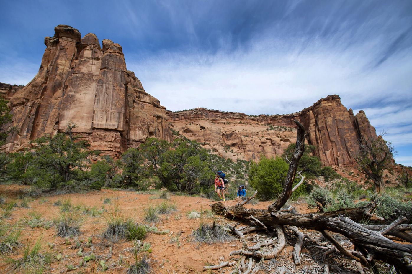 Mark your calendar for free day at Colorado’s national parks