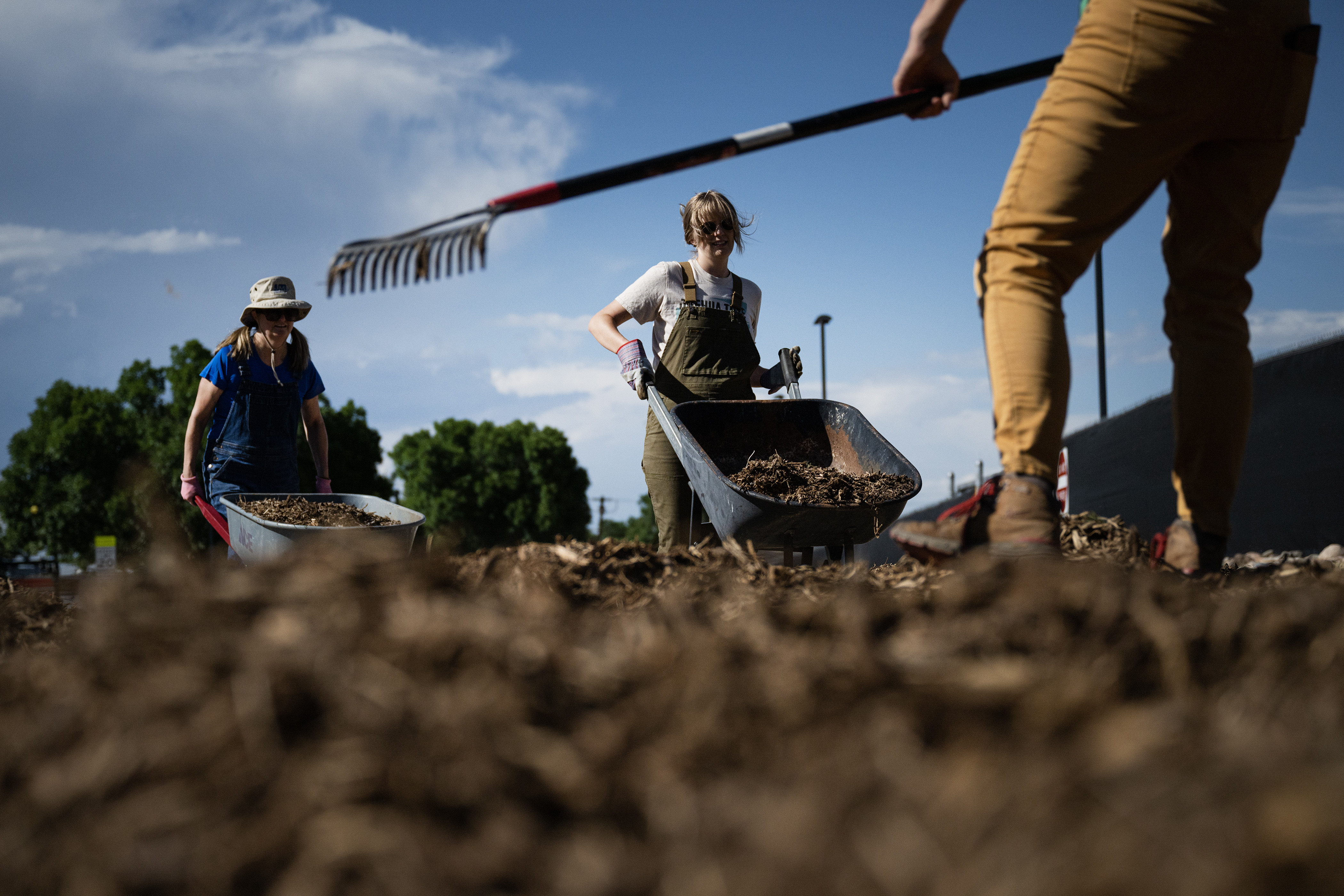 Melissa Walker, left, and Philippa Hall, volunteering for the nonprofit Table Urban Farm, dump two of many wheelbarrows full of city-provided mulch that will be used to amend the soil for an urban farm while the nonprofit’s co-founder Jeanine Kopaska Broek rakes the piles of mulch flat on Thursday, Aug. 3, 2023, outside of the Denver Police Department’s District 4 station in Denver, Colo. (Timothy Hurst/Denver Gazette) (TimHursttim.hurst@gazette.comhttps://secure.gravatar.com/avatar/aca82bd62b4ee425c598527cd6faa1b1?d=mm&r=g)