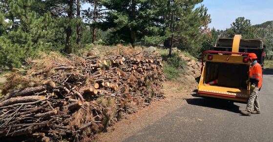 A pile of cut timber lays by a worker and a wood chipping machine. (Courtesy, Boulder County)