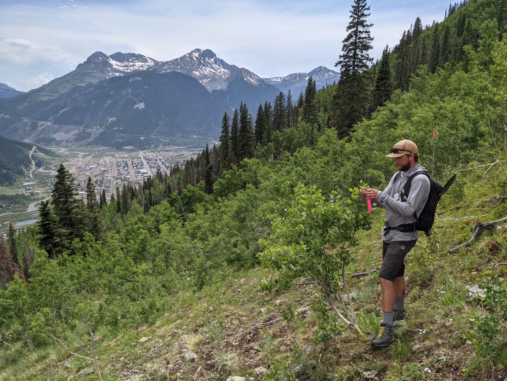 Flagging some of what will be the Baker’s Park trail system above Silverton. Silverton Singletrack Society envisions 30 miles in easy reach of town. (Photo courtesy of Silverton Singletrack Society)